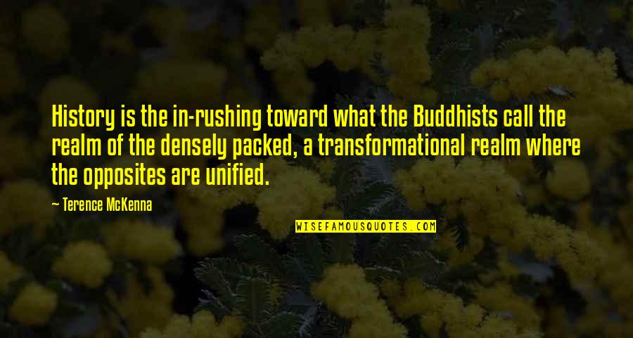 Netscheri Quotes By Terence McKenna: History is the in-rushing toward what the Buddhists