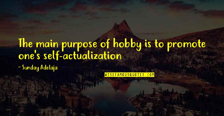 Nettlesome Quotes By Sunday Adelaja: The main purpose of hobby is to promote