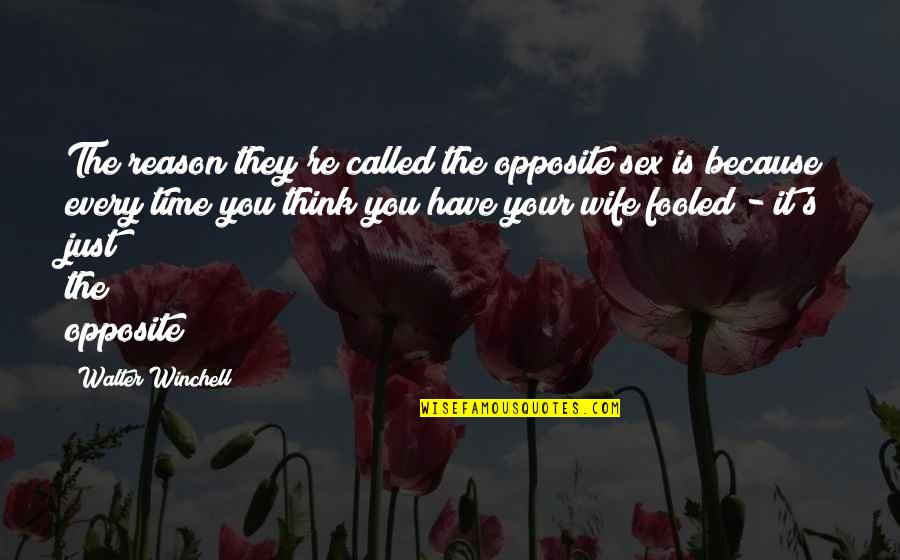Nettlesome Synonym Quotes By Walter Winchell: The reason they're called the opposite sex is Nettlesome Synonym Quotes By Walter Winchell: The reason they're called the opposite sex is