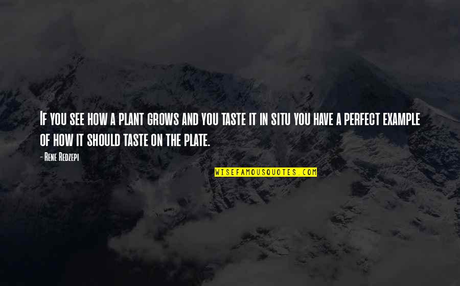 Neubeginn Quotes By Rene Redzepi: If you see how a plant grows and Neubeginn Quotes By Rene Redzepi: If you see how a plant grows and