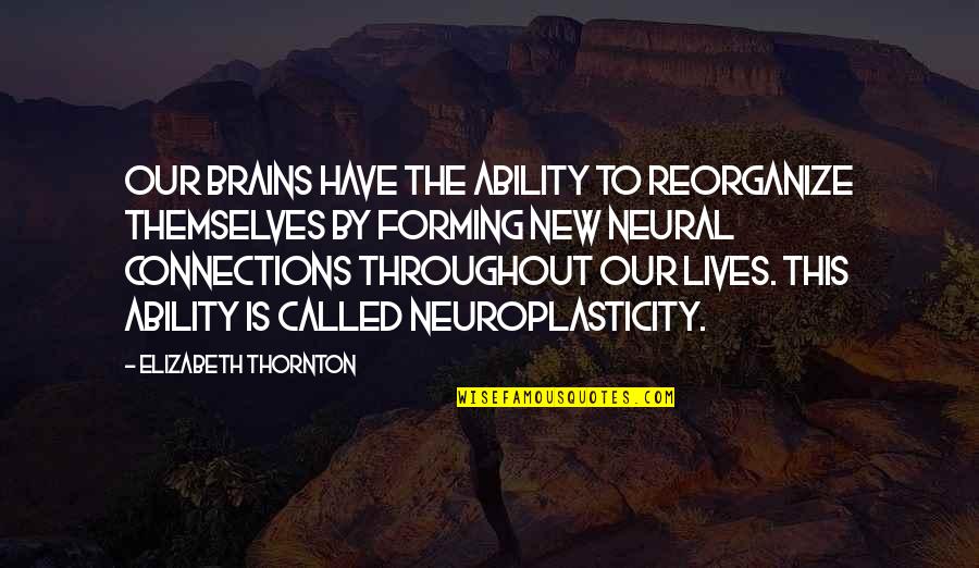 Neural Quotes By Elizabeth Thornton: Our brains have the ability to reorganize themselves