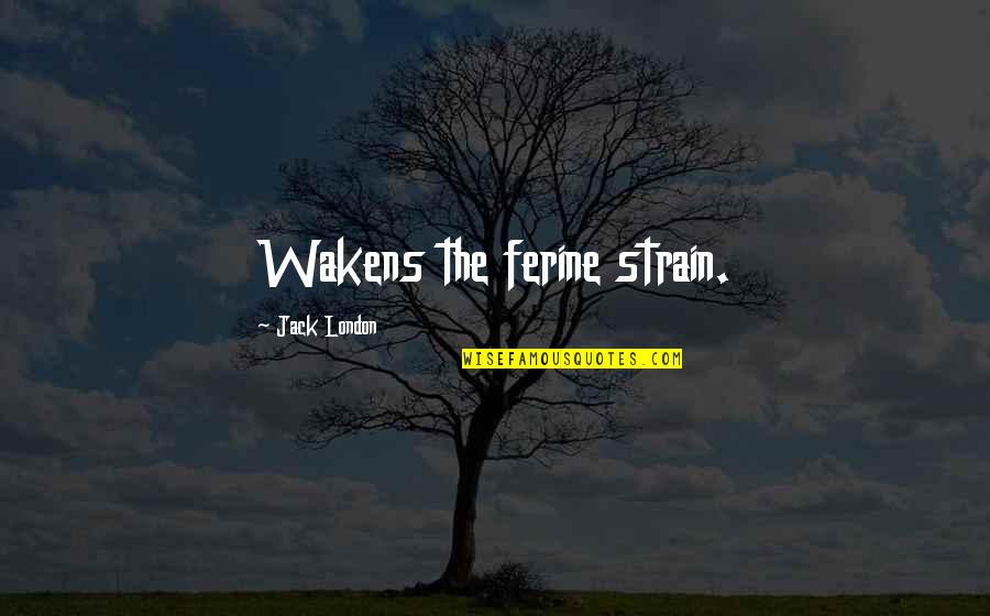 Neuralgia In The Head Quotes By Jack London: Wakens the ferine strain.