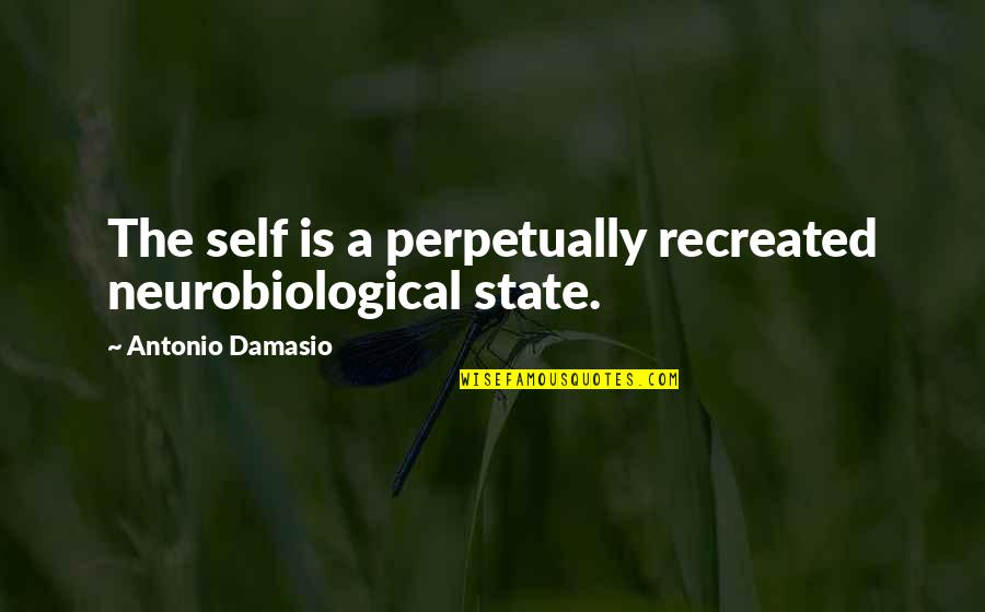 Neurobiological Quotes By Antonio Damasio: The self is a perpetually recreated neurobiological state.