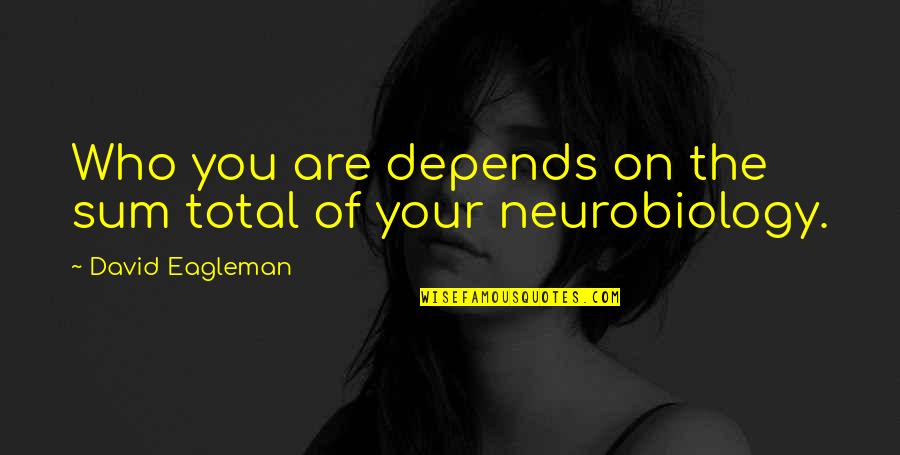 Neurobiology Quotes By David Eagleman: Who you are depends on the sum total