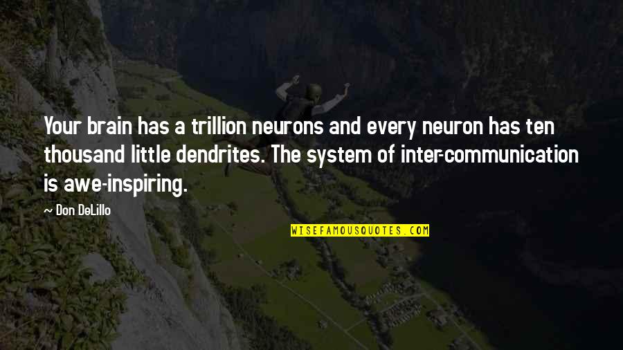 Neuron Quotes By Don DeLillo: Your brain has a trillion neurons and every