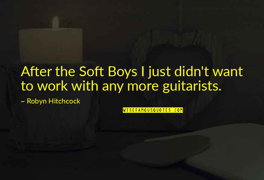 Neuronics Ag Quotes By Robyn Hitchcock: After the Soft Boys I just didn't want Neuronics Ag Quotes By Robyn Hitchcock: After the Soft Boys I just didn't want