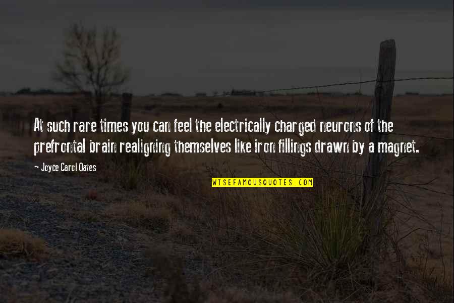 Neurons Quotes By Joyce Carol Oates: At such rare times you can feel the Neurons Quotes By Joyce Carol Oates: At such rare times you can feel the