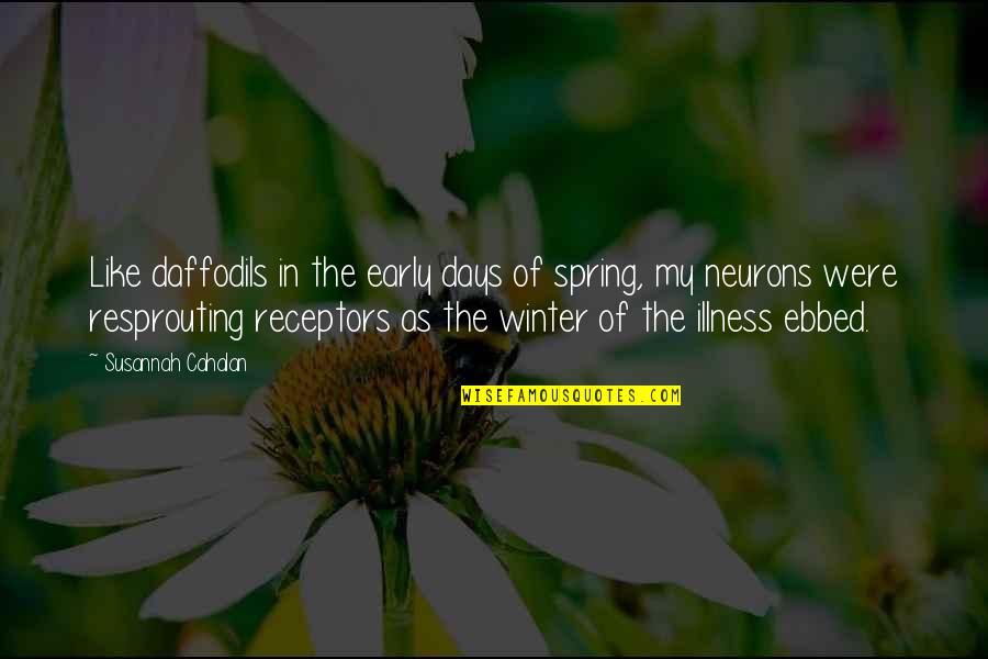 Neurons Quotes By Susannah Cahalan: Like daffodils in the early days of spring, Neurons Quotes By Susannah Cahalan: Like daffodils in the early days of spring,
