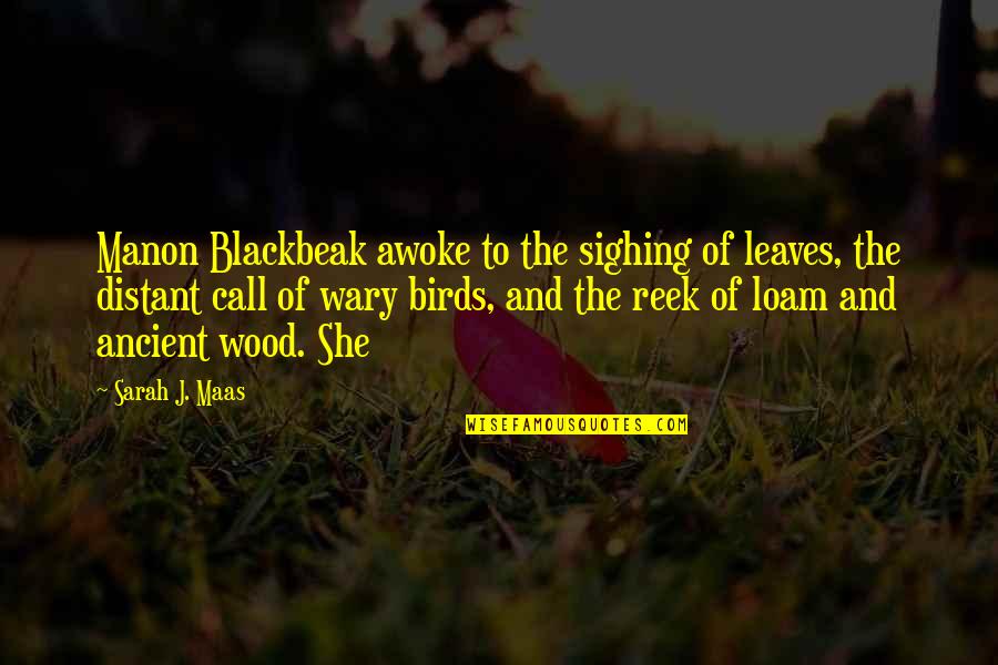 Neurophysiologist Near Quotes By Sarah J. Maas: Manon Blackbeak awoke to the sighing of leaves,