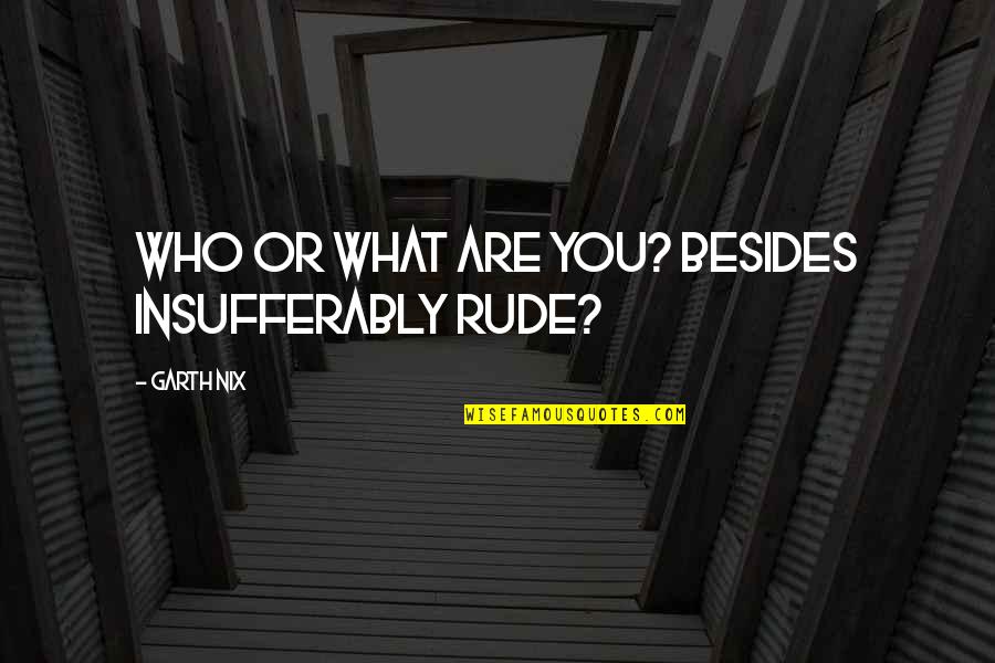 Neuroses And Psychosis Quotes By Garth Nix: Who or what are you? Besides insufferably rude? Neuroses And Psychosis Quotes By Garth Nix: Who or what are you? Besides insufferably rude?
