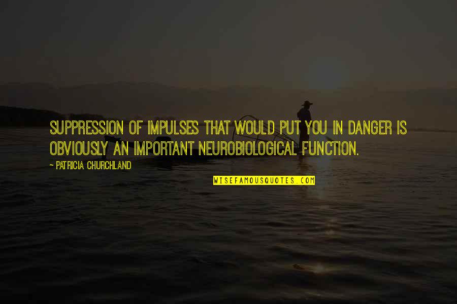 Neussendorfer Quotes By Patricia Churchland: Suppression of impulses that would put you in Neussendorfer Quotes By Patricia Churchland: Suppression of impulses that would put you in