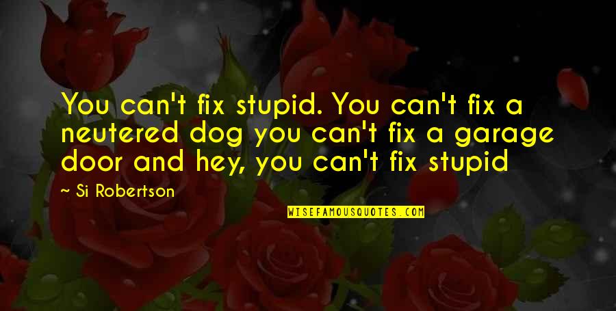 Neutered Quotes By Si Robertson: You can't fix stupid. You can't fix a