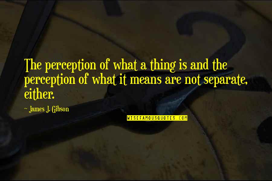 Neutrinos Faster Quotes By James J. Gibson: The perception of what a thing is and