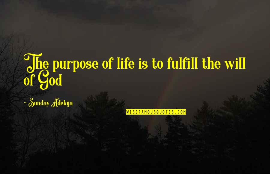 Neuwirth Dodge Quotes By Sunday Adelaja: The purpose of life is to fulfill the Neuwirth Dodge Quotes By Sunday Adelaja: The purpose of life is to fulfill the