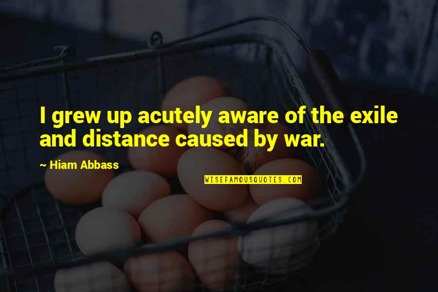 Nevaris Quotes By Hiam Abbass: I grew up acutely aware of the exile