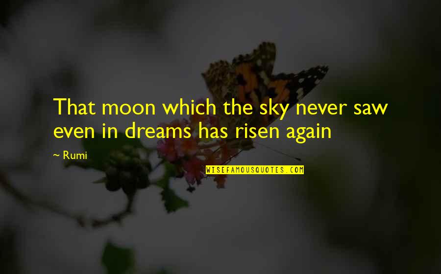 Never Again Quotes By Rumi: That moon which the sky never saw even