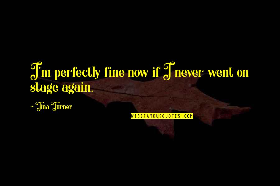 Never Again Quotes By Tina Turner: I'm perfectly fine now if I never went