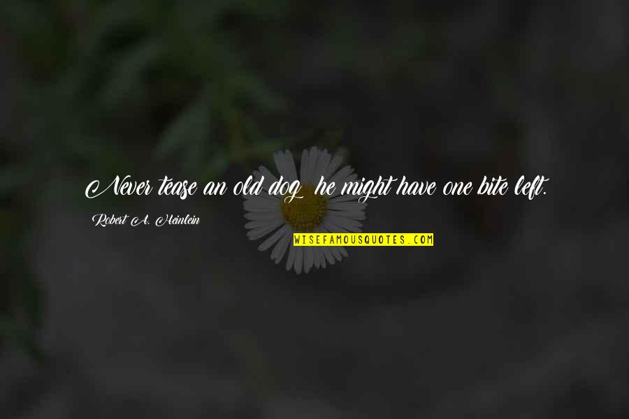 Never Aging Quotes By Robert A. Heinlein: Never tease an old dog; he might have