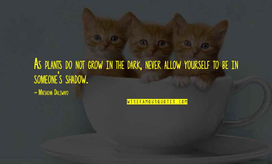 Never Allow Quotes By Matshona Dhliwayo: As plants do not grow in the dark,