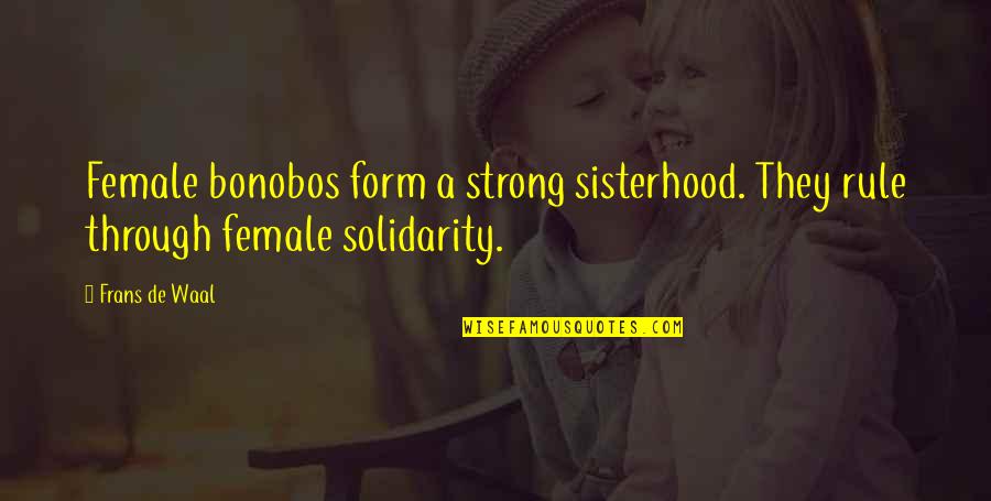 Never Ask Why I Love You Quotes By Frans De Waal: Female bonobos form a strong sisterhood. They rule