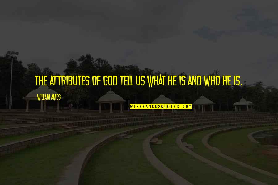 Never Ask Why I Love You Quotes By William Ames: The attributes of God tell us what He Never Ask Why I Love You Quotes By William Ames: The attributes of God tell us what He