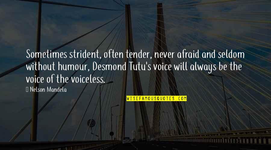 Never Be Afraid Quotes By Nelson Mandela: Sometimes strident, often tender, never afraid and seldom