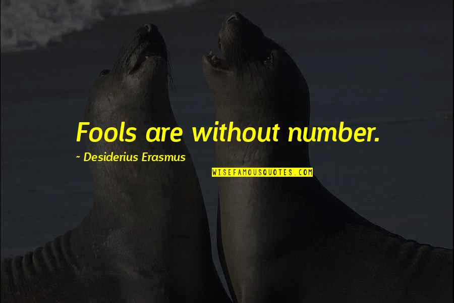 Never Be Afraid To Speak Your Mind Quotes By Desiderius Erasmus: Fools are without number.