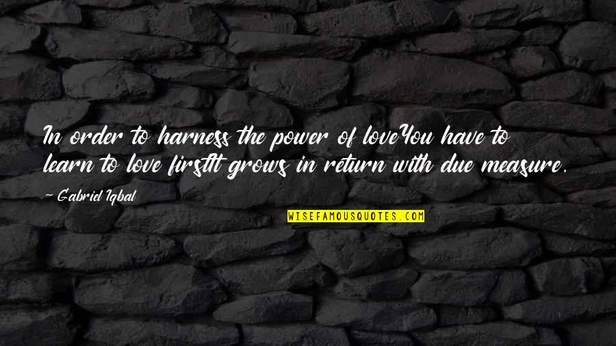 Never Be Bullied Quotes By Gabriel Iqbal: In order to harness the power of loveYou