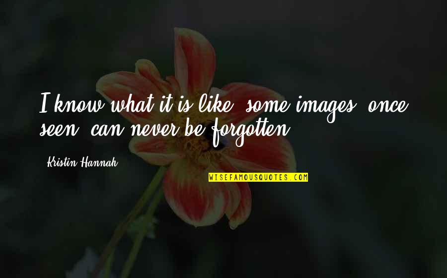 Never Be Forgotten Quotes By Kristin Hannah: I know what it is like; some images,
