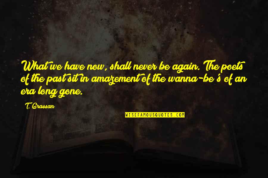 Never Be Gone Quotes By T. Grassan: What we have now, shall never be again.
