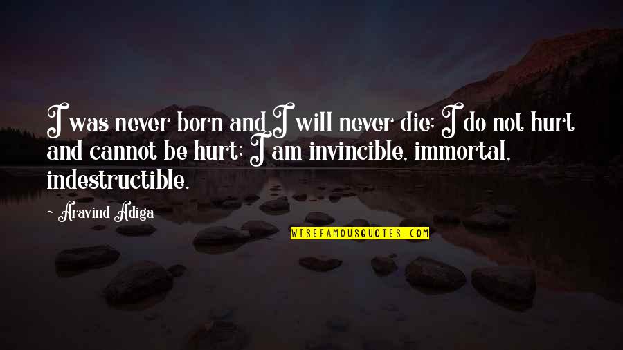 Never Be Hurt Quotes By Aravind Adiga: I was never born and I will never