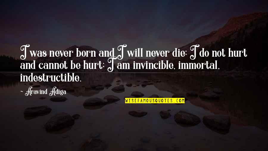Never Be Hurt Quotes By Aravind Adiga: I was never born and I will never Never Be Hurt Quotes By Aravind Adiga: I was never born and I will never