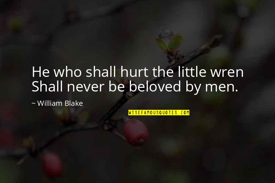 Never Be Hurt Quotes By William Blake: He who shall hurt the little wren Shall