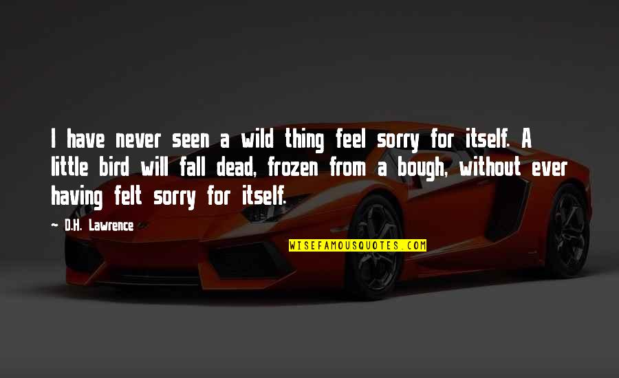 Never Be Sorry Quotes By D.H. Lawrence: I have never seen a wild thing feel