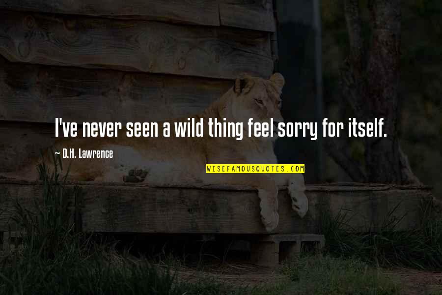 Never Be Sorry Quotes By D.H. Lawrence: I've never seen a wild thing feel sorry