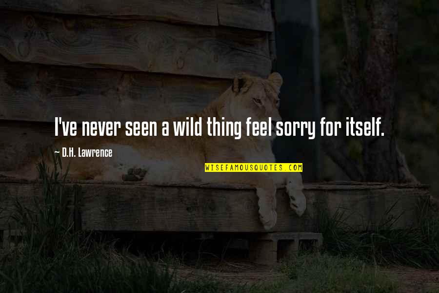 Never Be Sorry Quotes By D.H. Lawrence: I've never seen a wild thing feel sorry Never Be Sorry Quotes By D.H. Lawrence: I've never seen a wild thing feel sorry