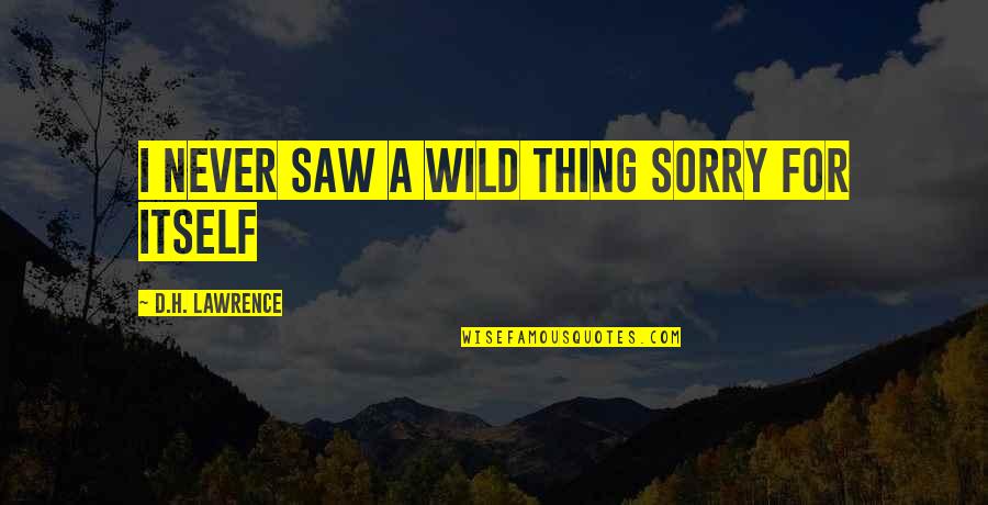 Never Be Sorry Quotes By D.H. Lawrence: I never saw a wild thing sorry for Never Be Sorry Quotes By D.H. Lawrence: I never saw a wild thing sorry for