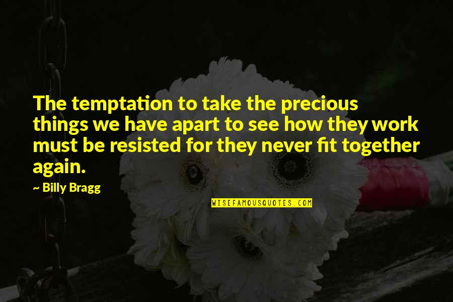 Never Be Together Again Quotes By Billy Bragg: The temptation to take the precious things we