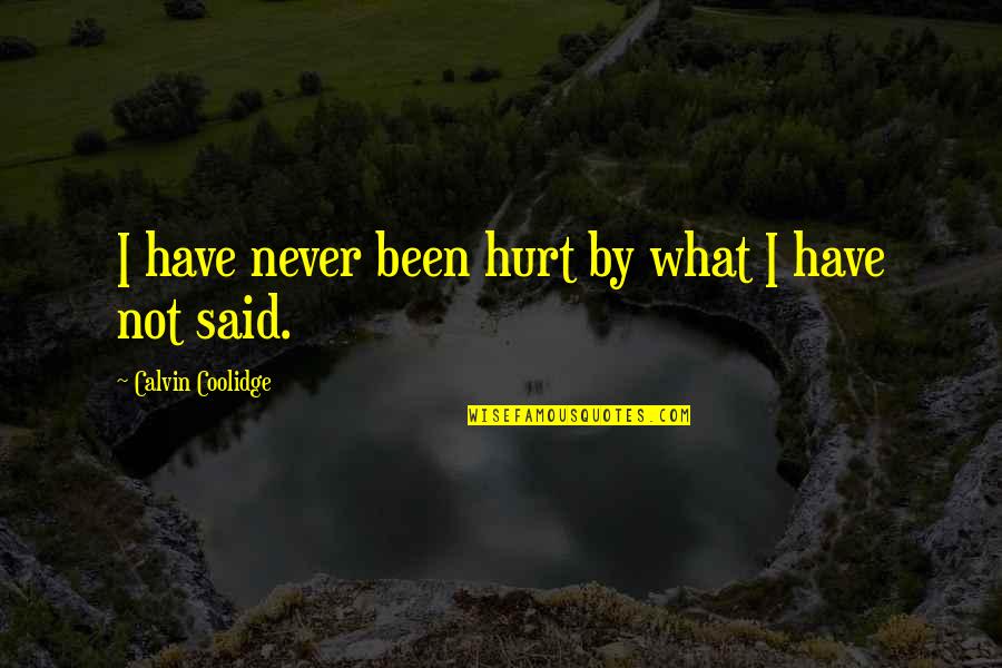 Never Been Hurt Quotes By Calvin Coolidge: I have never been hurt by what I