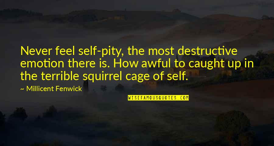 Never Caught Quotes By Millicent Fenwick: Never feel self-pity, the most destructive emotion there Never Caught Quotes By Millicent Fenwick: Never feel self-pity, the most destructive emotion there