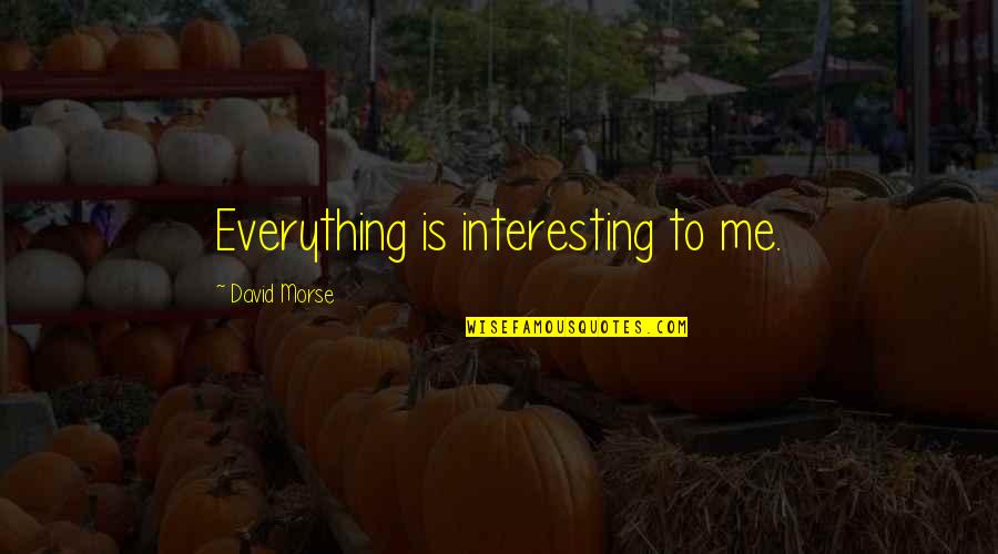 Never Compare Me Quotes By David Morse: Everything is interesting to me.