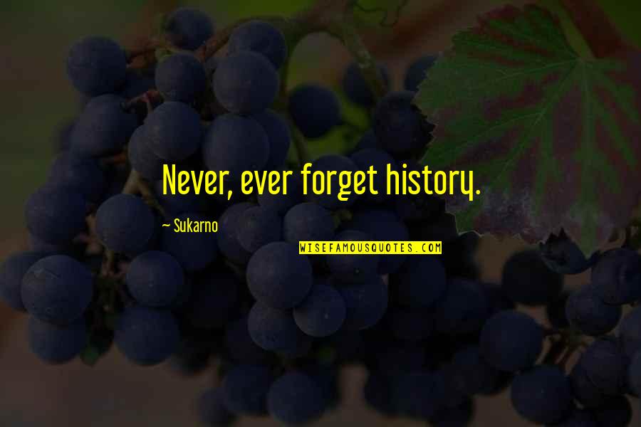 Never Ever Forget Quotes By Sukarno: Never, ever forget history.