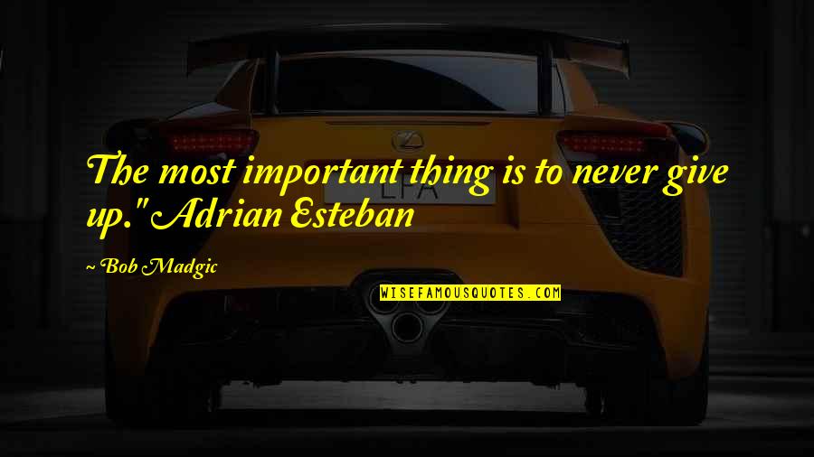 Never Ever Give Up Hope Quotes By Bob Madgic: The most important thing is to never give