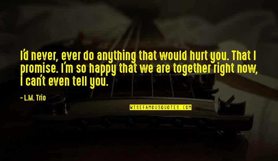 Never Ever Hurt You Quotes By L.M. Trio: I'd never, ever do anything that would hurt