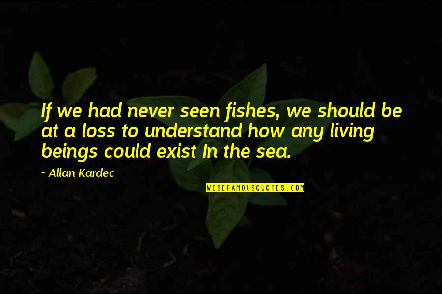 Never Exist Quotes By Allan Kardec: If we had never seen fishes, we should