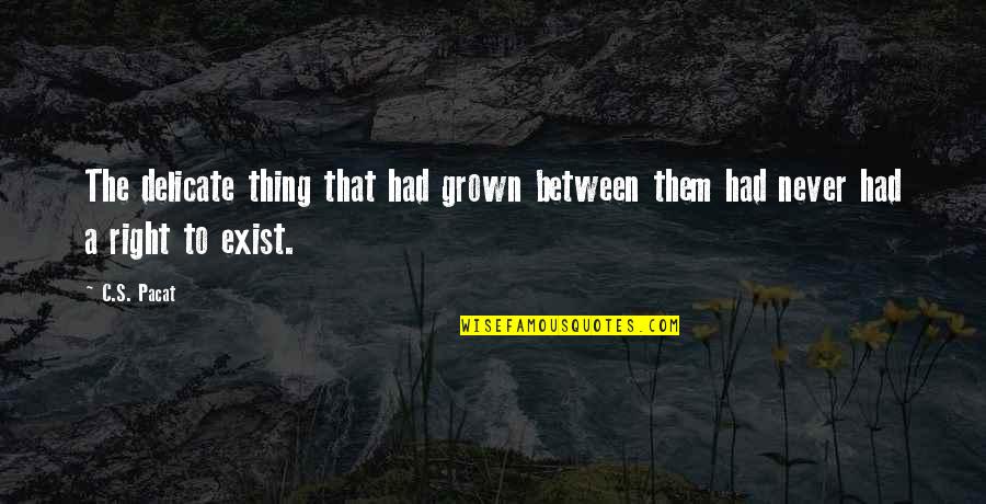 Never Exist Quotes By C.S. Pacat: The delicate thing that had grown between them