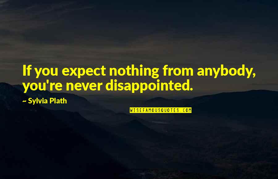 Never Expect From You Quotes By Sylvia Plath: If you expect nothing from anybody, you're never