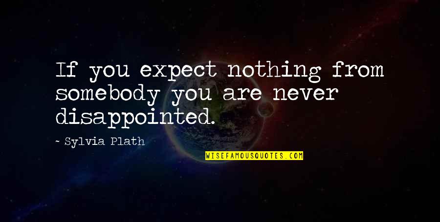 Never Expect From You Quotes By Sylvia Plath: If you expect nothing from somebody you are
