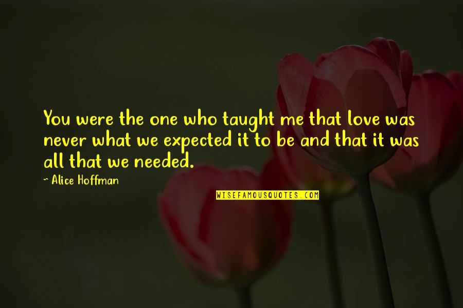 Never Expected To Love You Quotes By Alice Hoffman: You were the one who taught me that