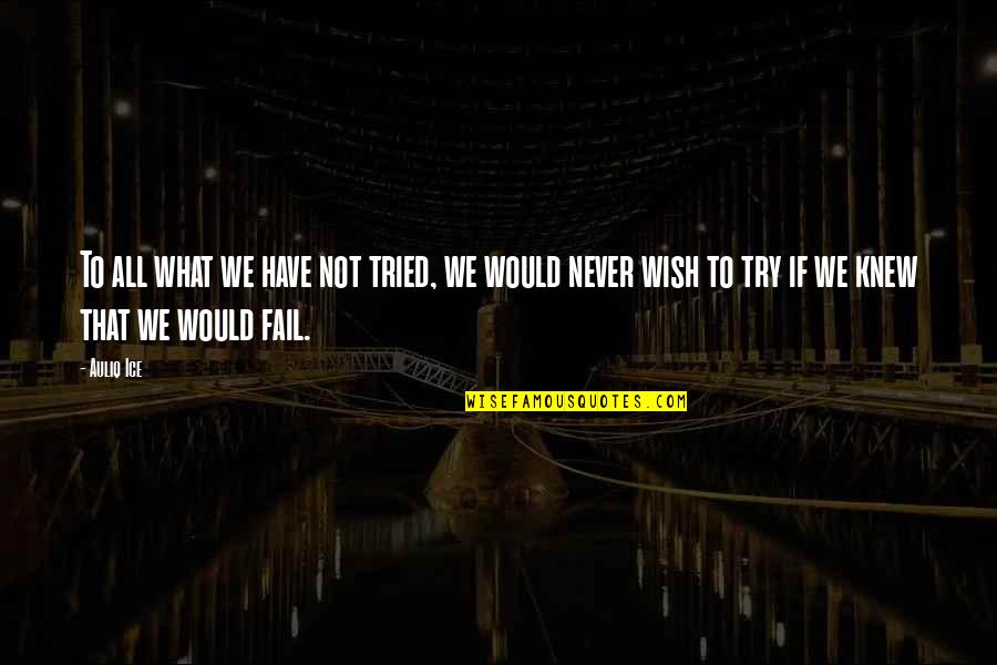 Never Failure Quotes By Auliq Ice: To all what we have not tried, we